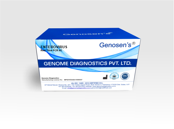  Geno Sen’s® Enterovirus quantitative kit